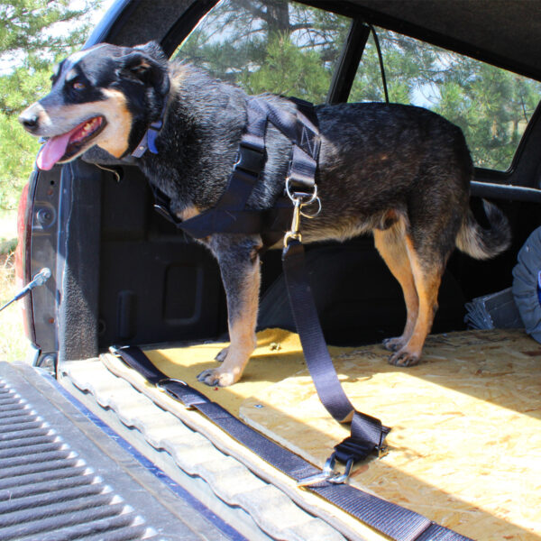 Seat Belt System USA K9 Outfitters