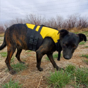 Product Canine Life Vest